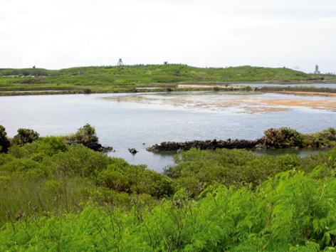 Caiyuan Wetland