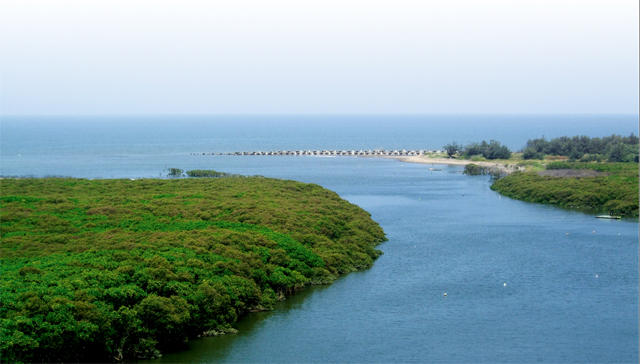 Sinfong Important Wetland