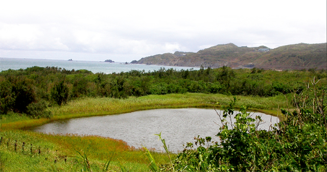 Wuwei Harbor Important Wetland