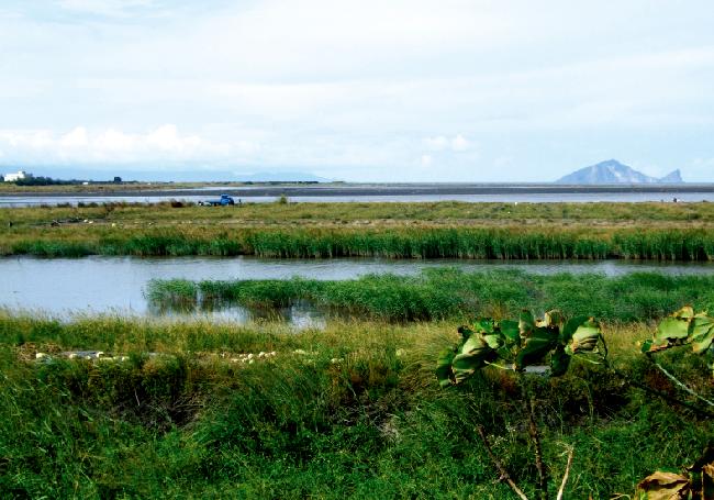 Lanyang Estuary Important Wetland