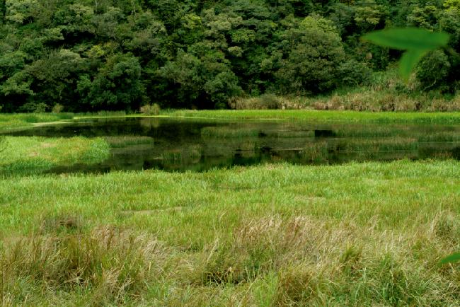 Nanao Important Wetland