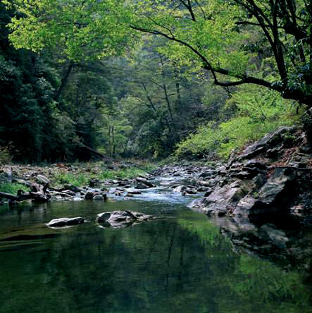 CijiawanRiver Important Wetland