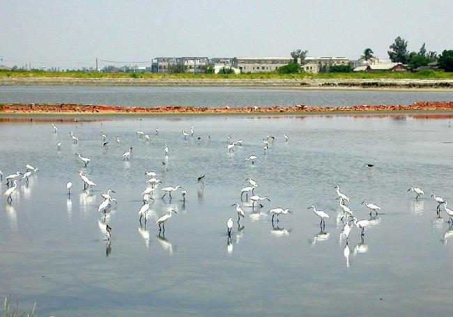 Sihcao Important Wetland