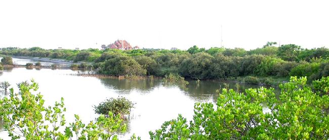 Sihcao Important Wetland