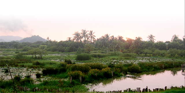 Jhouzai Wetland