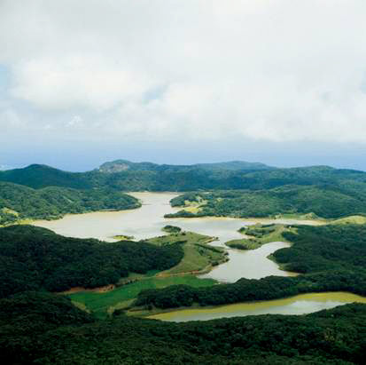 Nanren Lake Wetland