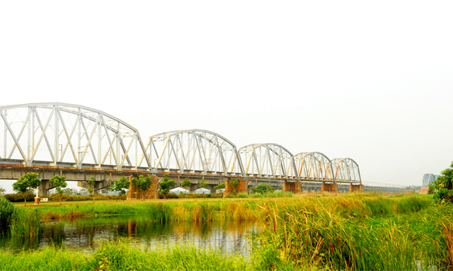 Dashu Manmade Wetland