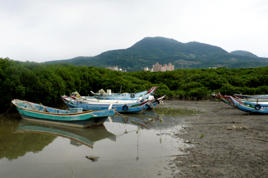 Cingshuei Important Wetland