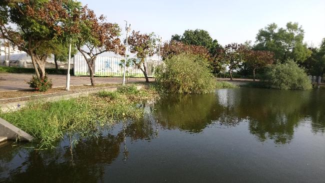 嘉南埤圳_河邊風景