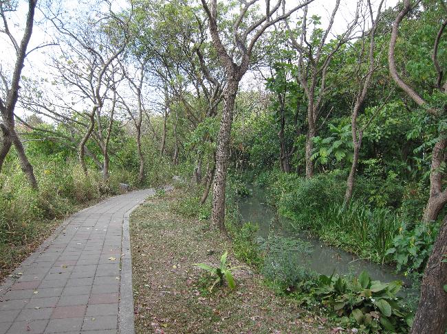 鳥松濕地步道