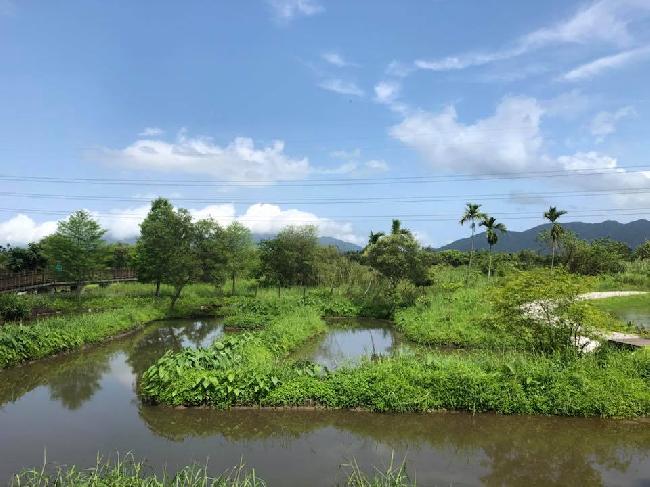 濕地在平原河塘