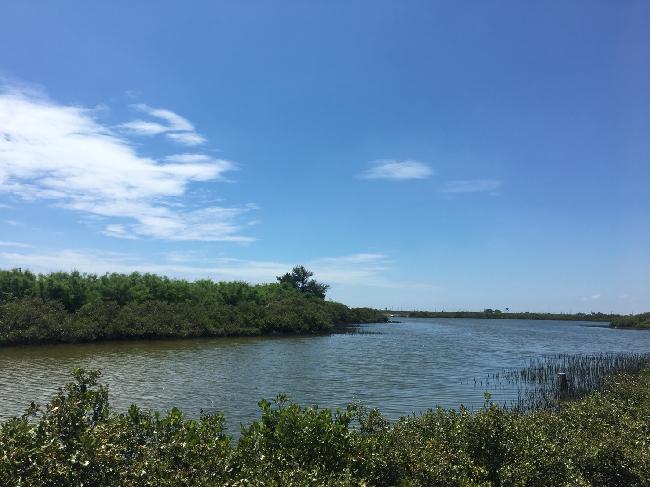 出海口風景