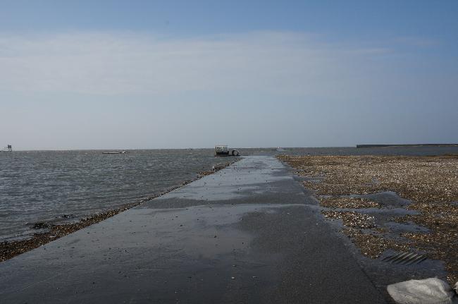 陰天河堤邊