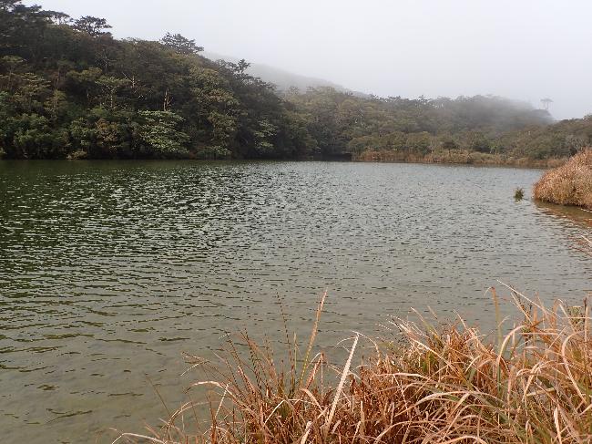 小鬼湖秋天草枯時河邊風景