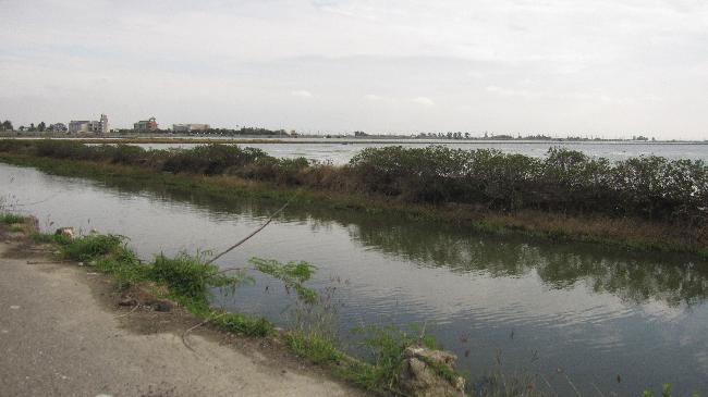 海邊河堤