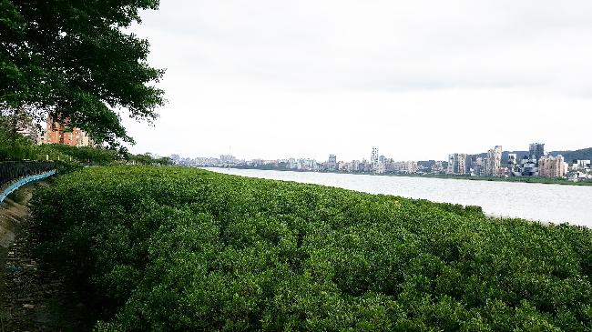 Danshuei River Important Wetland