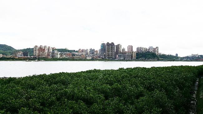 Danshuei River Important Wetland