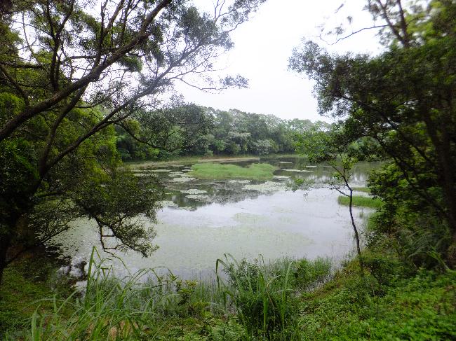 Taoyuan's Reservoir and Canal Important Wetland