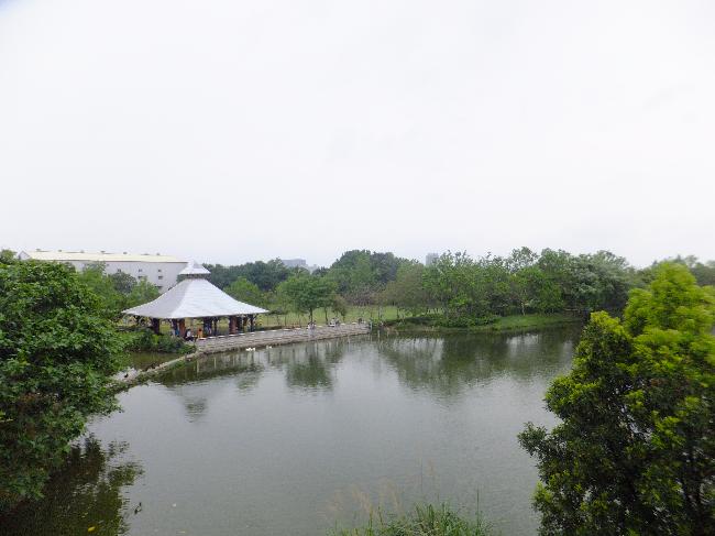 Taoyuan's Reservoir and Canal Important Wetland