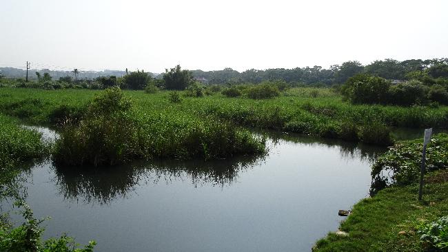 Taoyuan's Reservoir and Canal Important Wetland