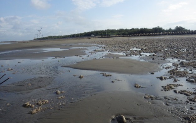 Sinfong Important Wetland