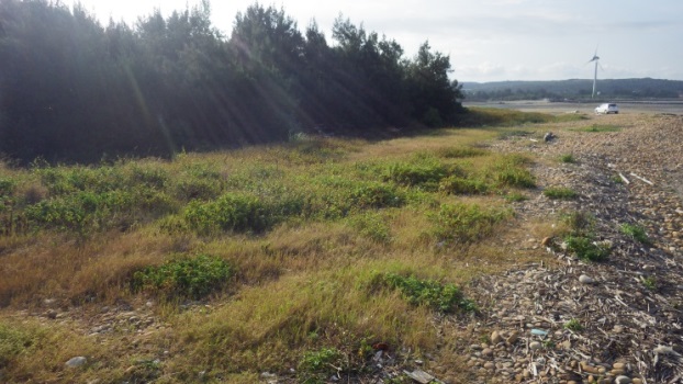 Sinfong Important Wetland