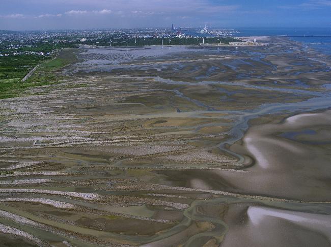 Gaomei Important Wetland