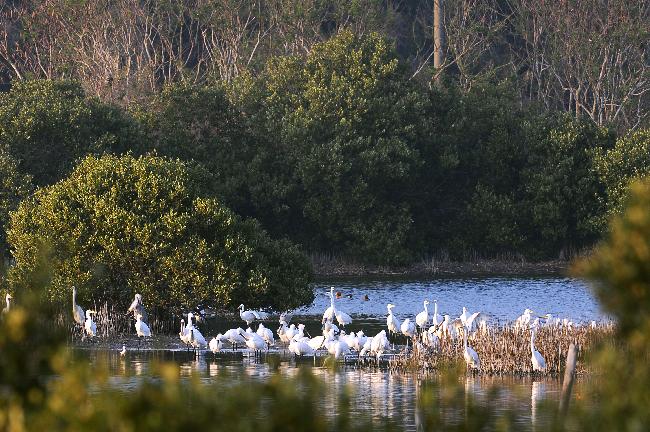 Aogu Wetland