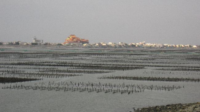 Puzih Estuary Important Wetland