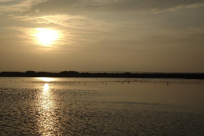 Cigu Salt Pan Important Wetland