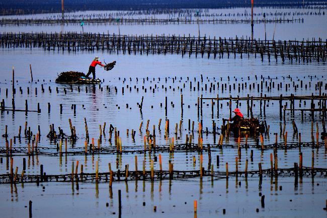 Cigu Salt Pan Important Wetland