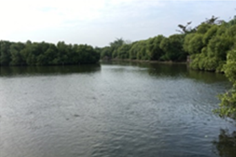 Yuanjhong Harbor Wetland