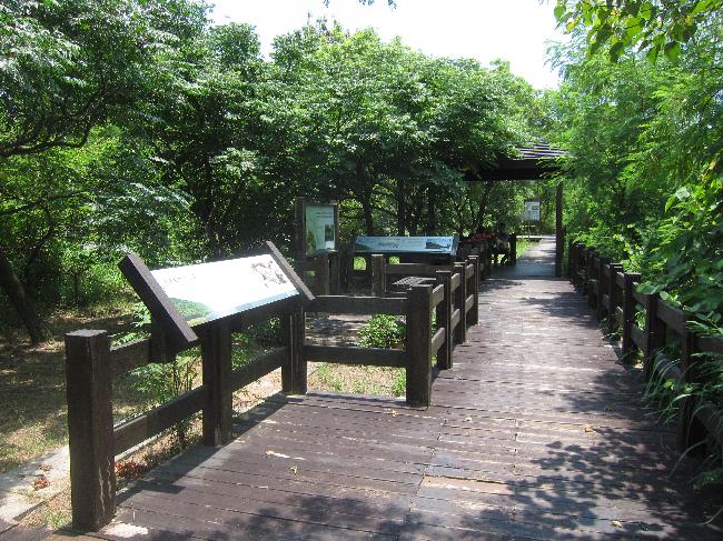 Banping Lake Wetland