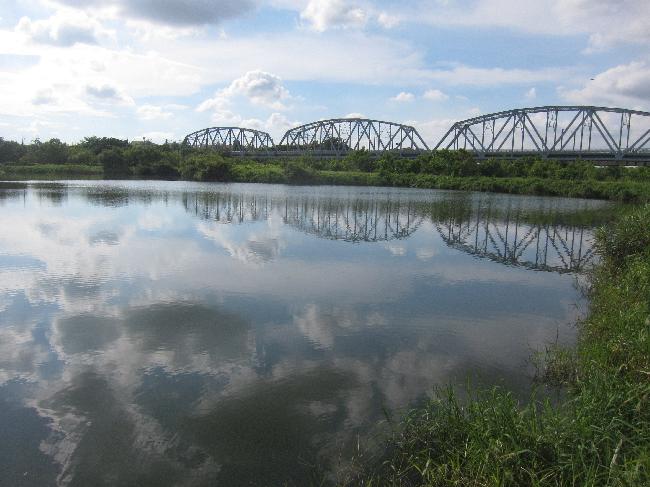 Dashu Manmade Wetland