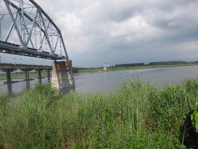 Dashu Manmade Wetland