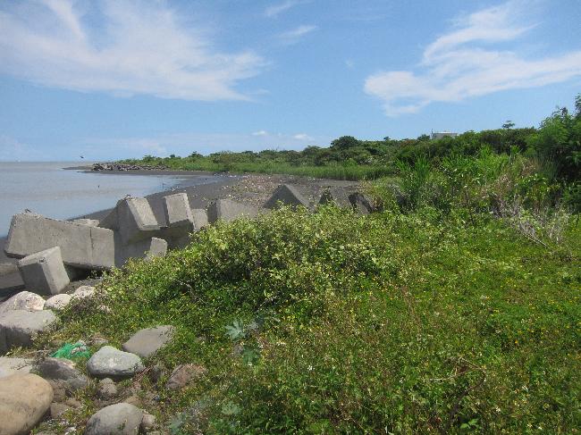 Linyuan Manmade Wetland