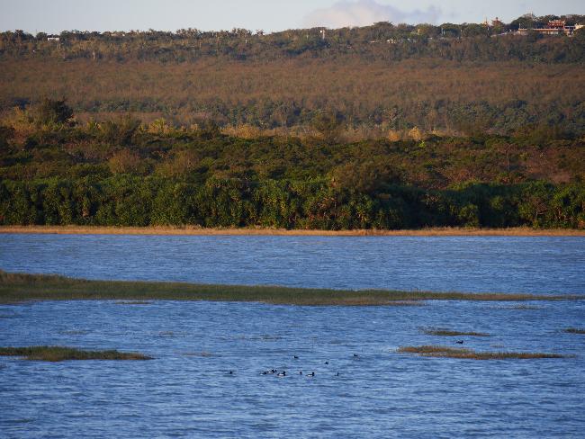 Longluan Lake Important Wetland