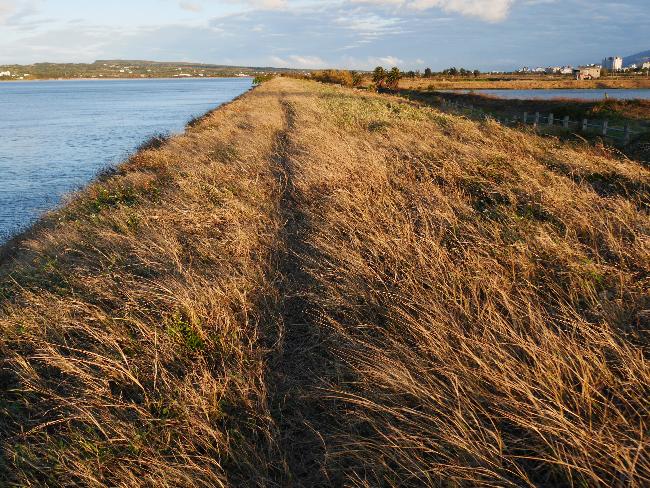 Longluan Lake Important Wetland