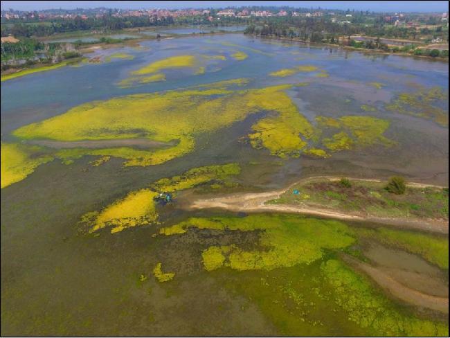 Cih Lake Important Wetland