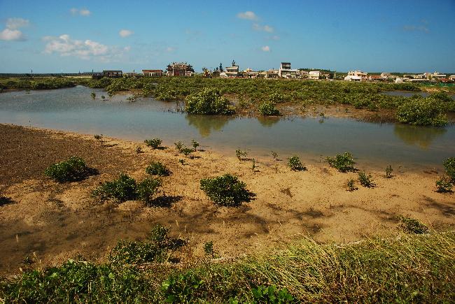 Chingluo Important Wetland