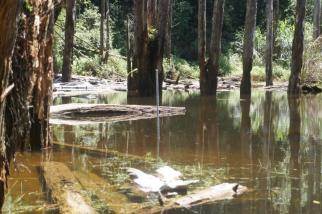 Caodi Wetland