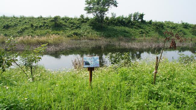 Caodi Wetland