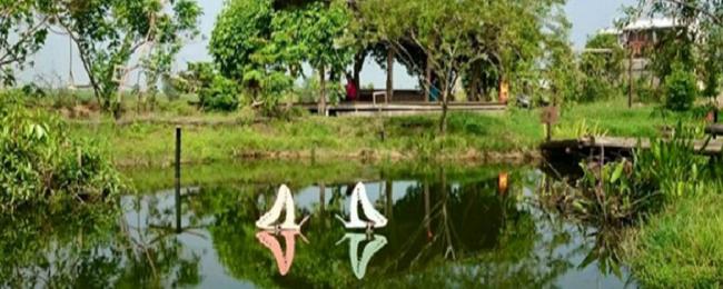 Jiianan's Reservoir and Canal Important Wetlands