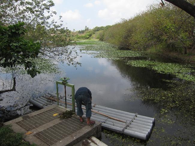 Niaosong Wetland