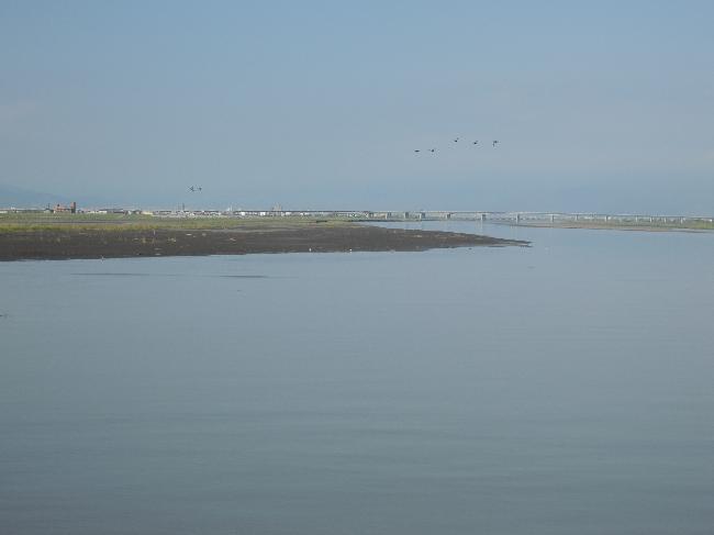 Lanyang Estuary Important Wetland