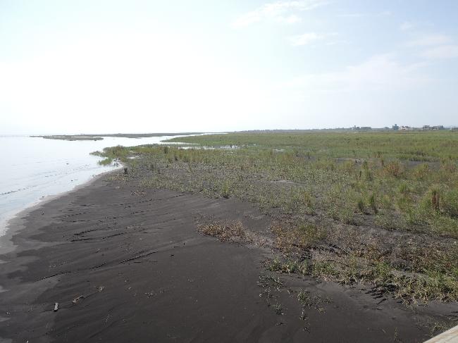 Lanyang Estuary Important Wetland