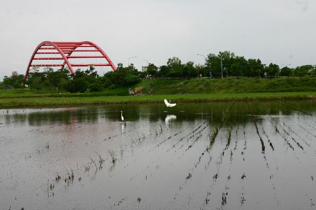 52-jia Important Wetland