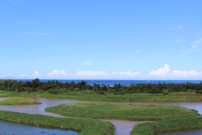 Wuwei Harbor Important Wetland