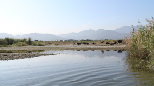 Wuwei Harbor Important Wetland