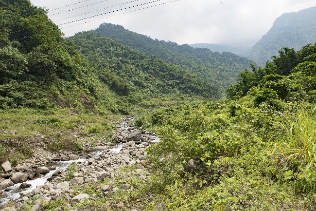 Nanzihsiian River Important Wetland